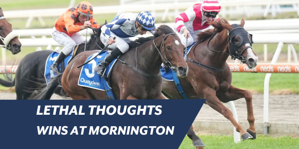 lethal thoughts wins for ciaron maher and vic husslers at mornington