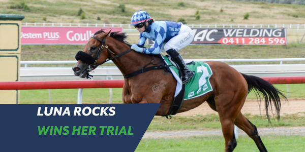 luna rocks richard and will freedman win trial for nsw tycoons