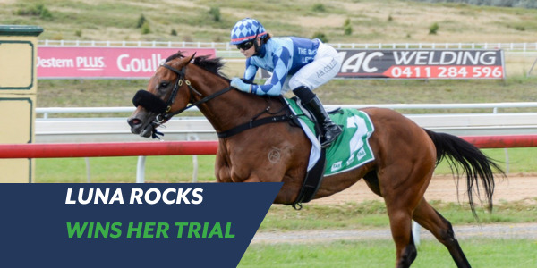 luna rocks richard and will freedman win trial for nsw tycoons
