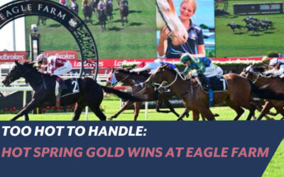 TOO HOT TO HANDLE: HOT SPRING GOLD WINS AT EAGLE FARM