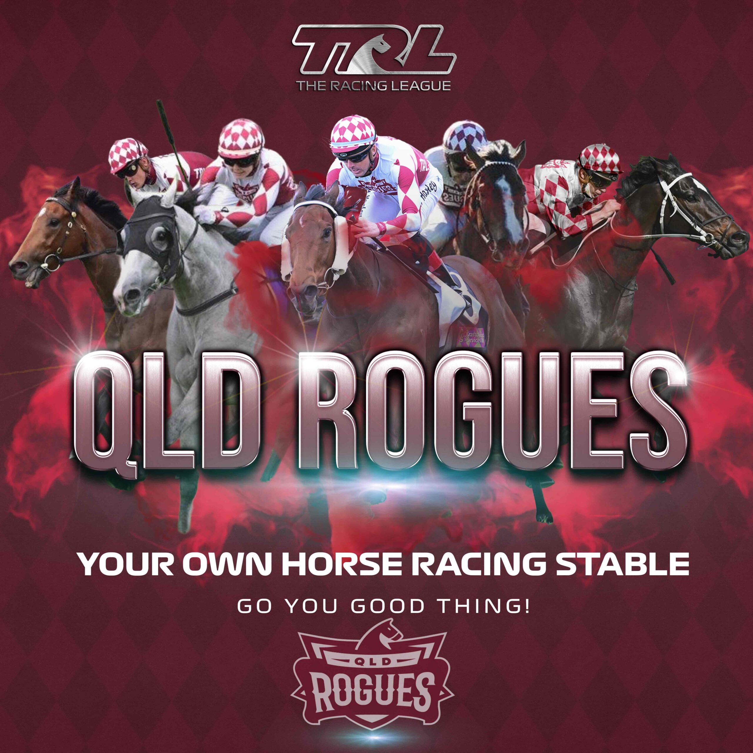 The QLD Rogues racing team competing in The Racing League