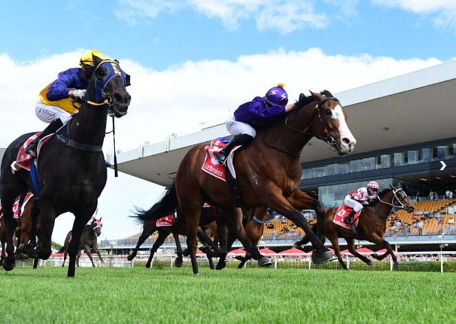 Larrikin Rogue finishing a promising 4th at Doomben on 28th October 2023