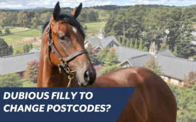 DUBIOUS FILLY TO CHANGE POSTCODES?