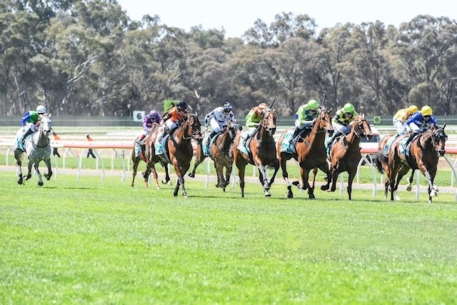 Bellinger racehorse Vic Husslers