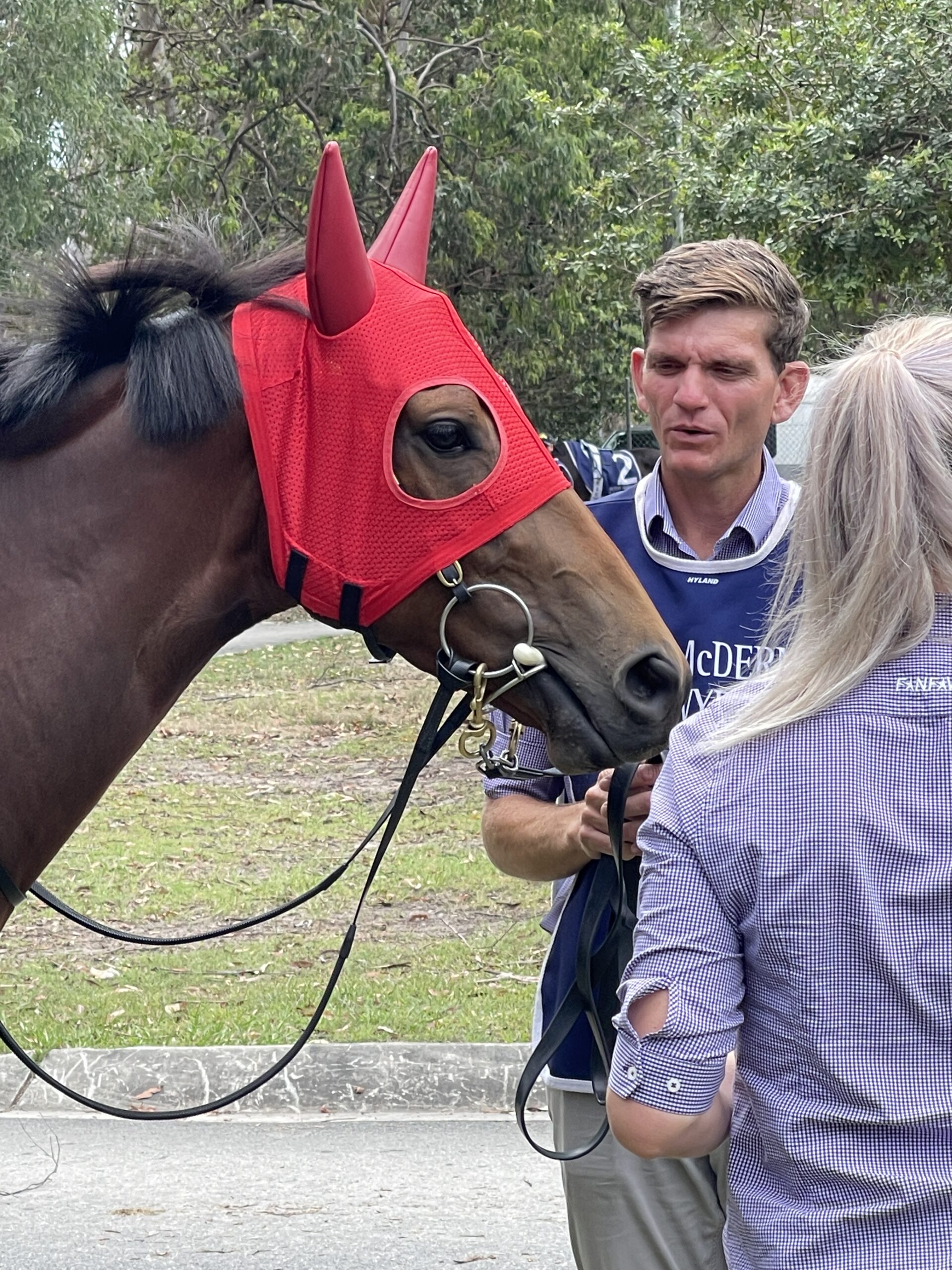 Bellinger in the stalls pre-race at Bendigo