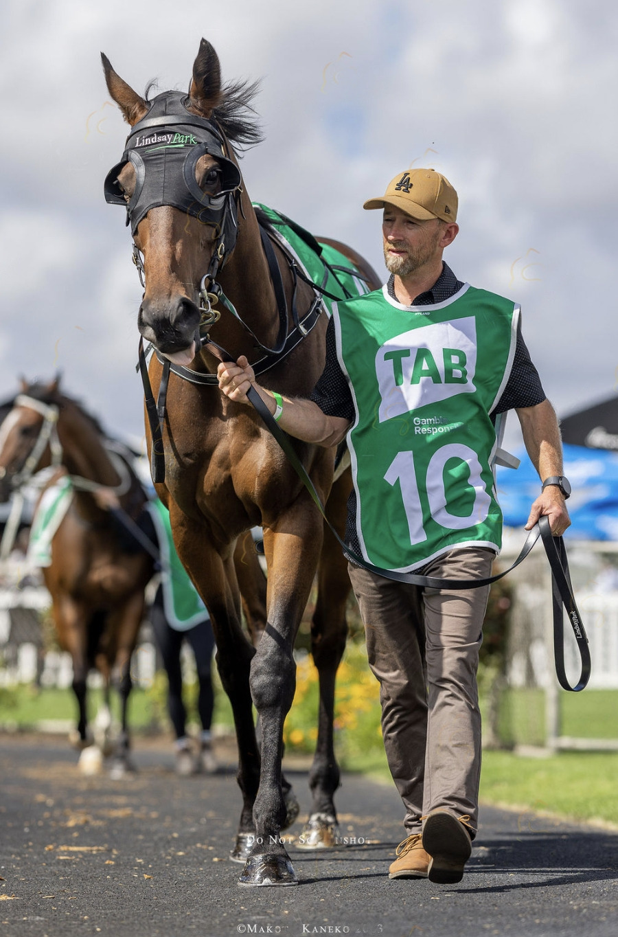 Bellinger in the stalls pre-race at Bendigo