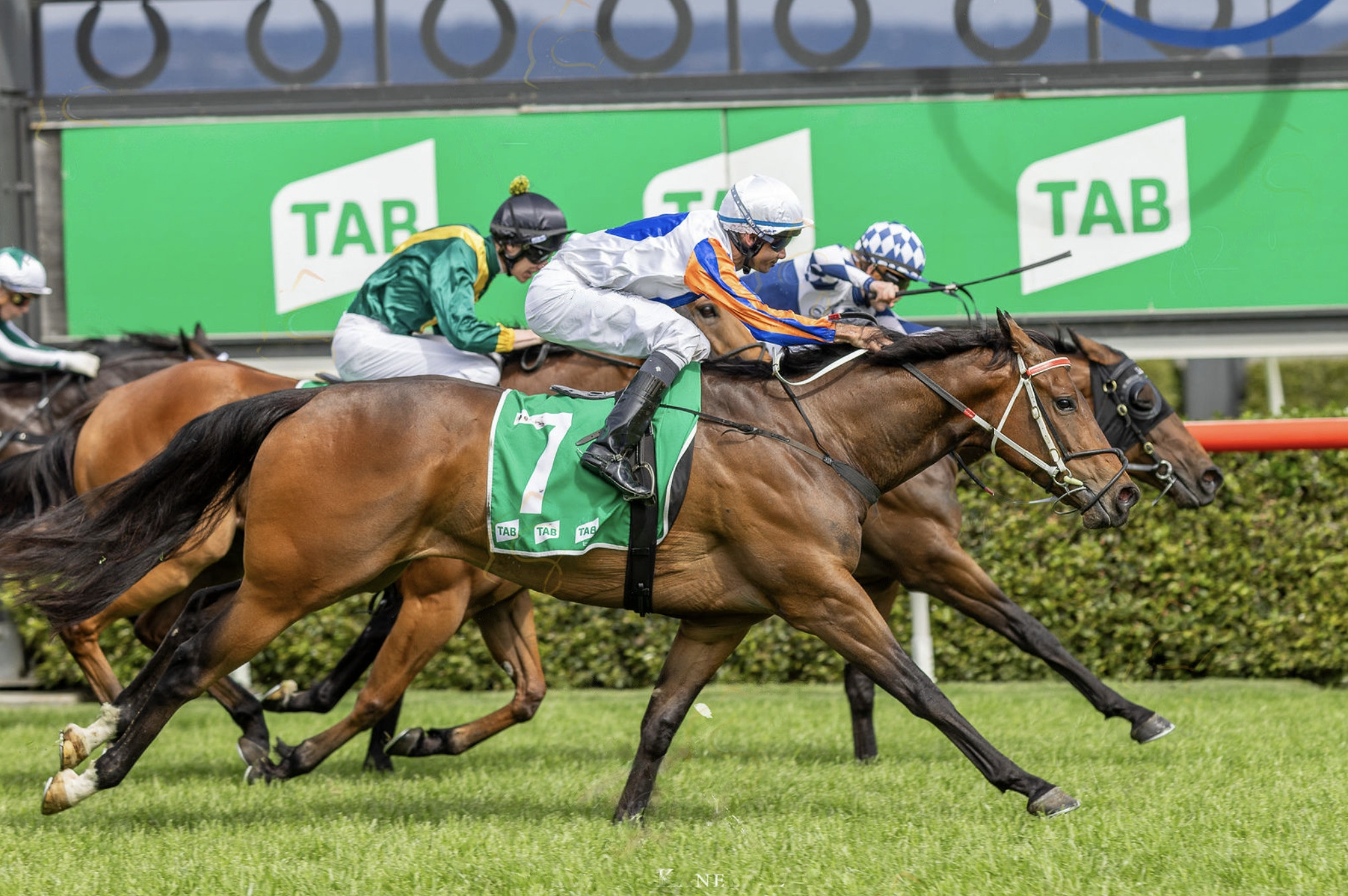 BELLINGER GOES OH SO CLOSE AT MORPHETTVILLE ON SAT 25 NOV 2023