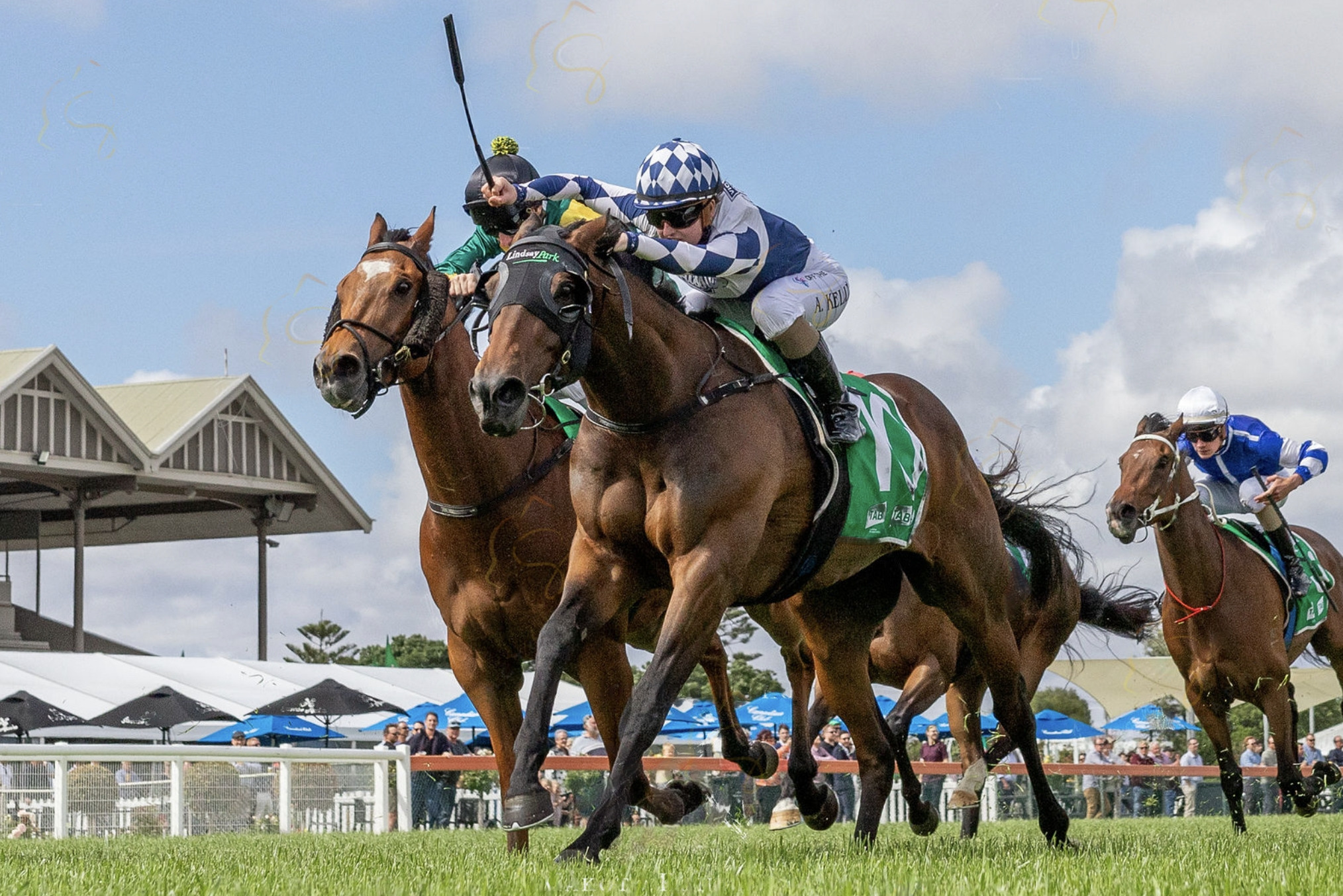 Helluva Barty Racing at Doomben on 28th Oct 2023