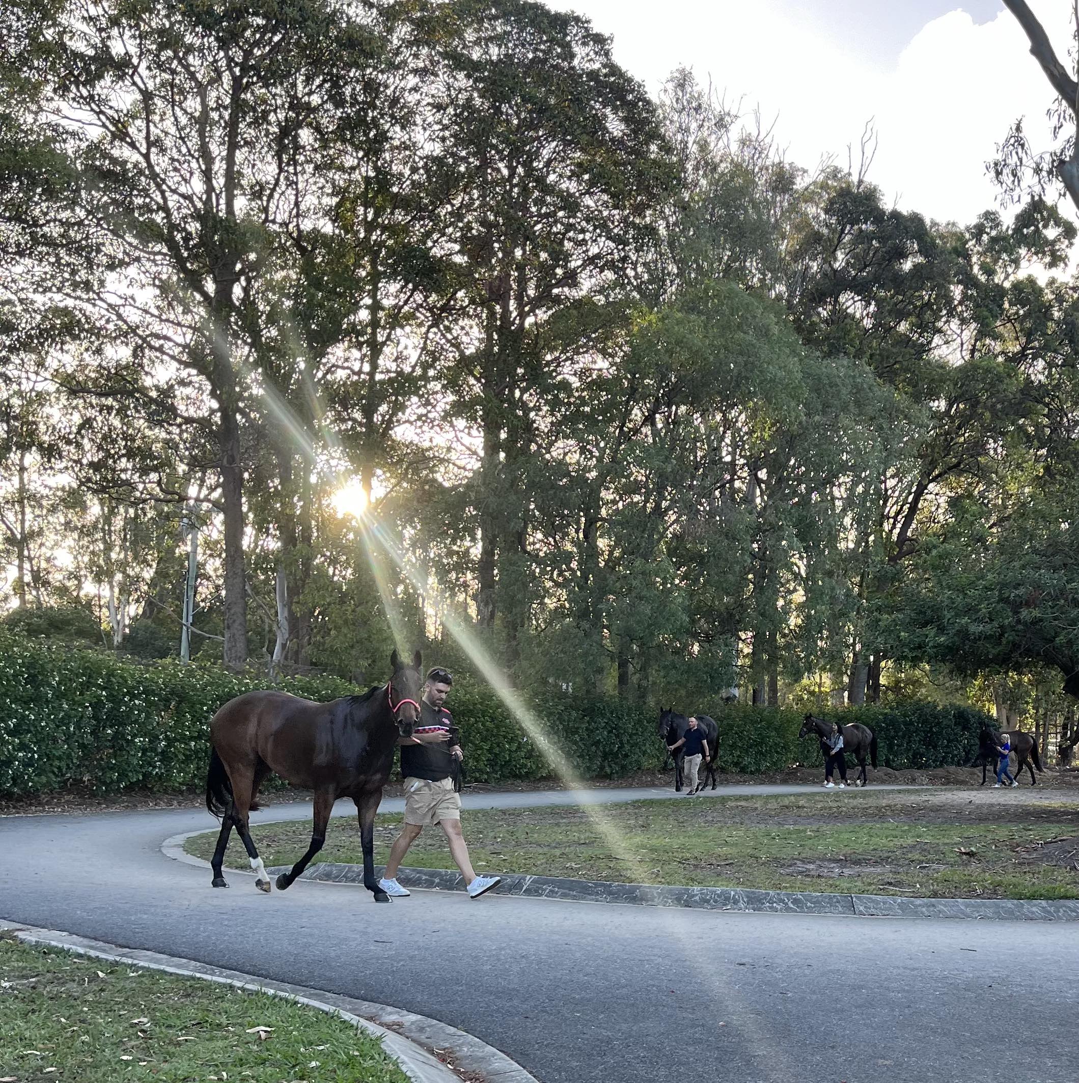 Helluva Barty Racing at Doomben on 28th Oct 2023