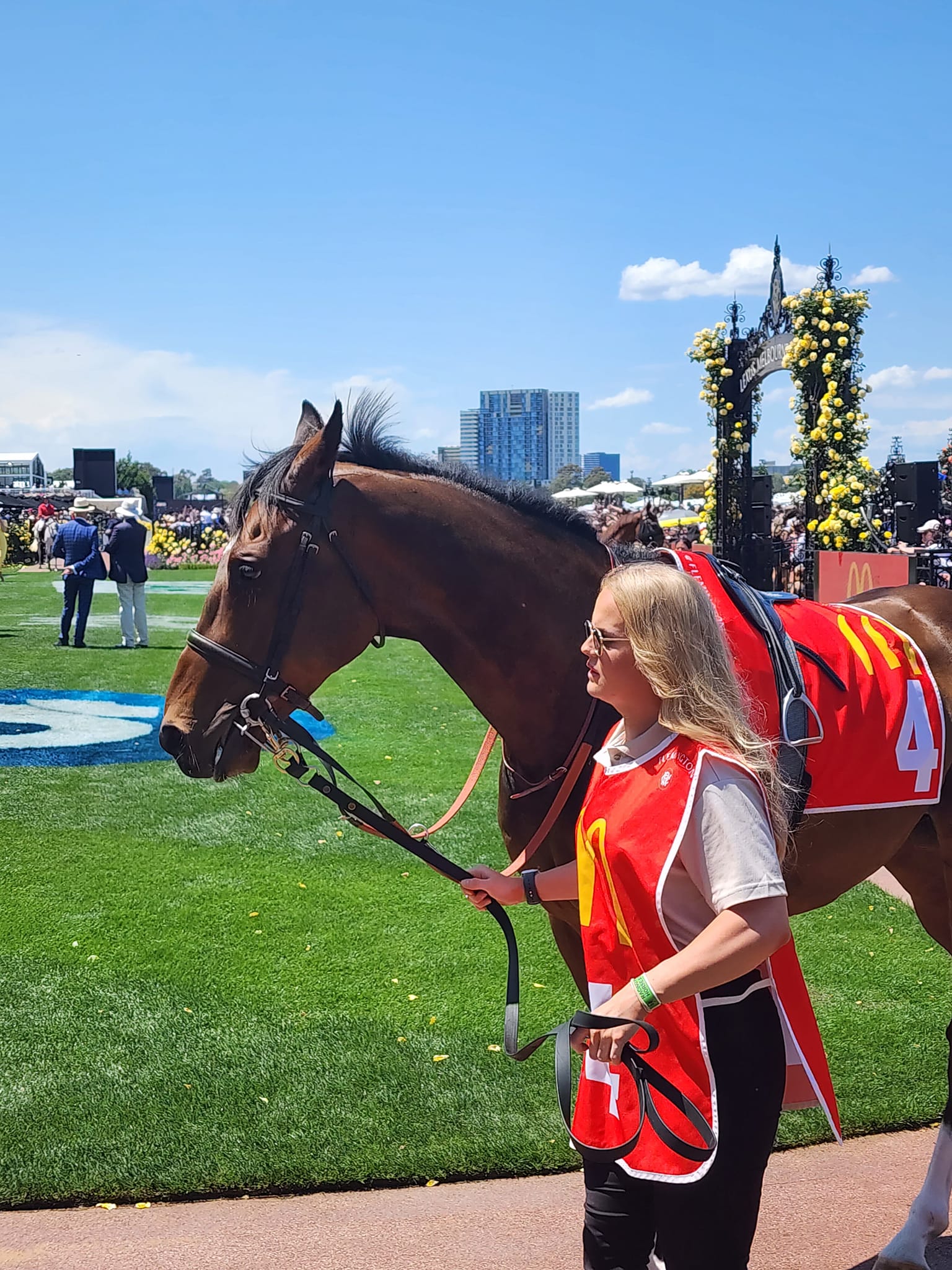 Bellinger racehorse Vic Husslers