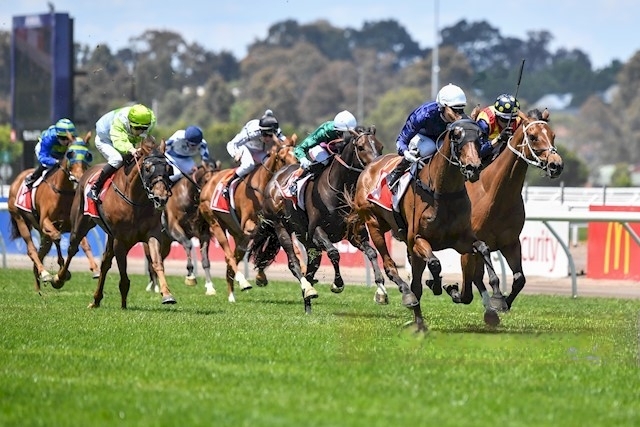 Helluva Barty Racing at Doomben on 28th Oct 2023