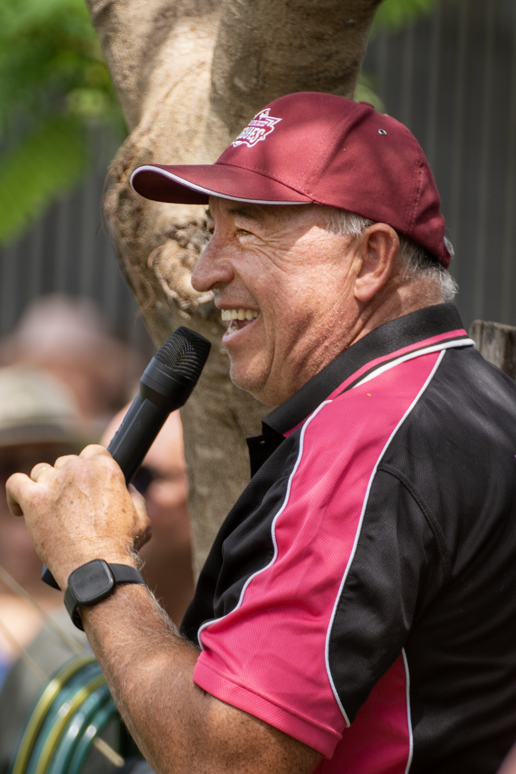 Bellinger in the stalls pre-race at Bendigo