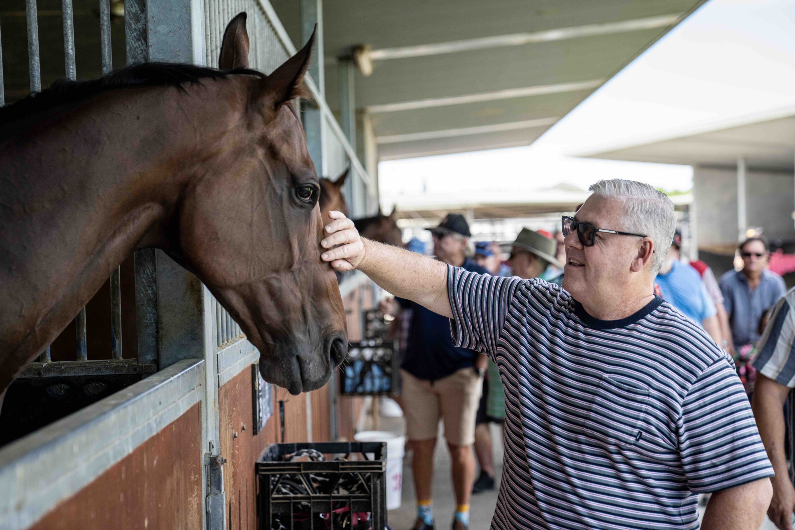 Helluva Barty Racing at Doomben on 28th Oct 2023