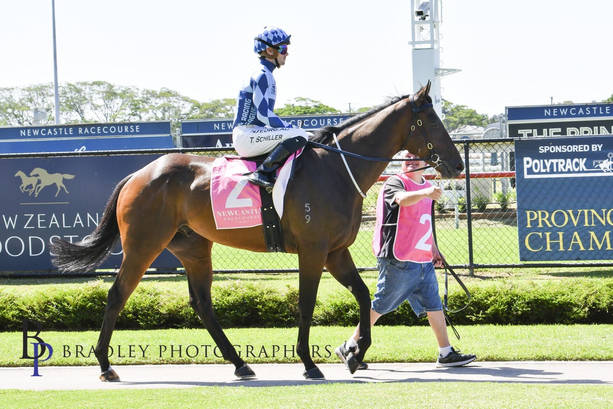 Cool Jakey Parading