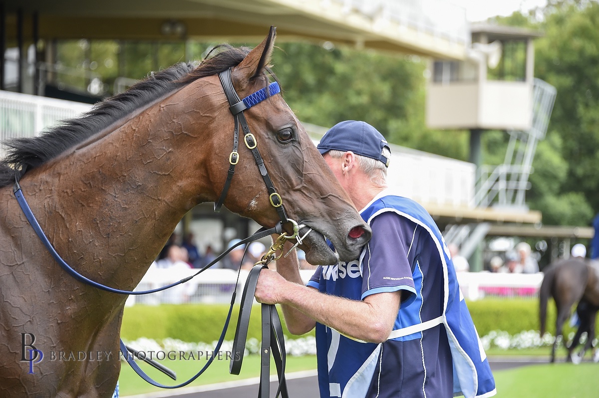 Bellinger in the stalls pre-race at Bendigo