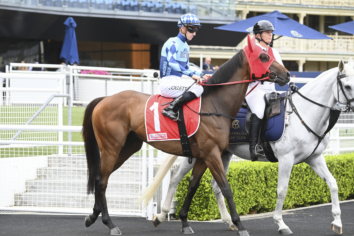 Helluva Barty Racing at Doomben on 28th Oct 2023