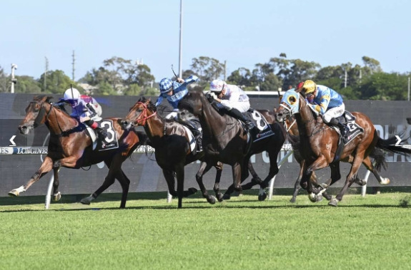 Helluva Barty Racing at Doomben on 28th Oct 2023