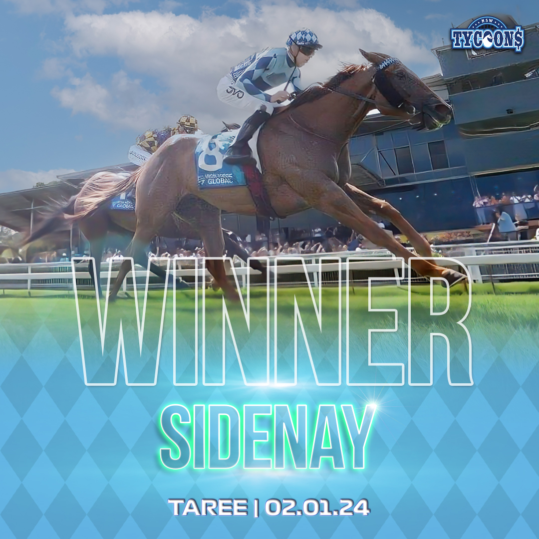 Sidenay Race Winner