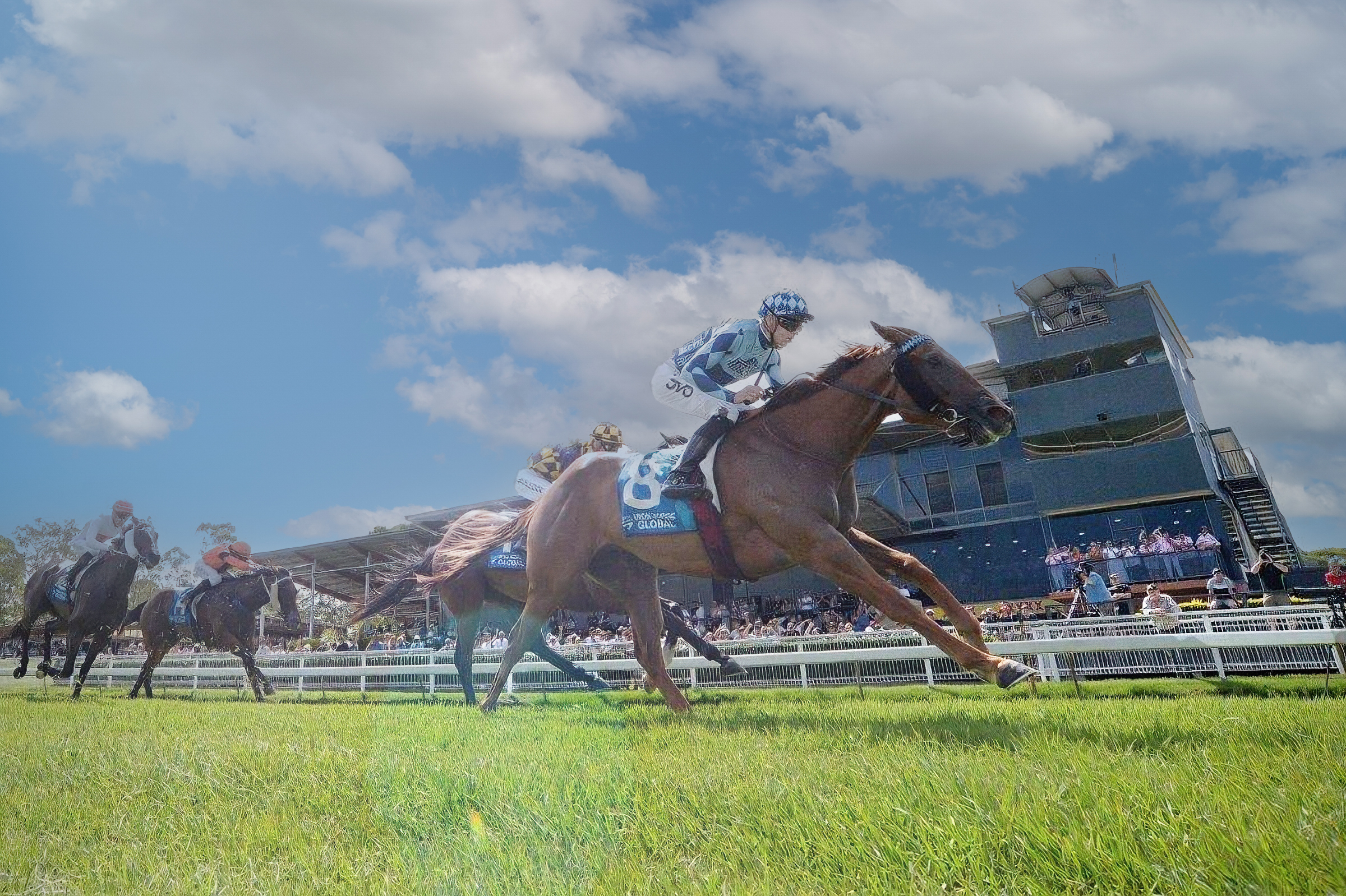 Sidenay crossing the finishing line with the grandstand in the background