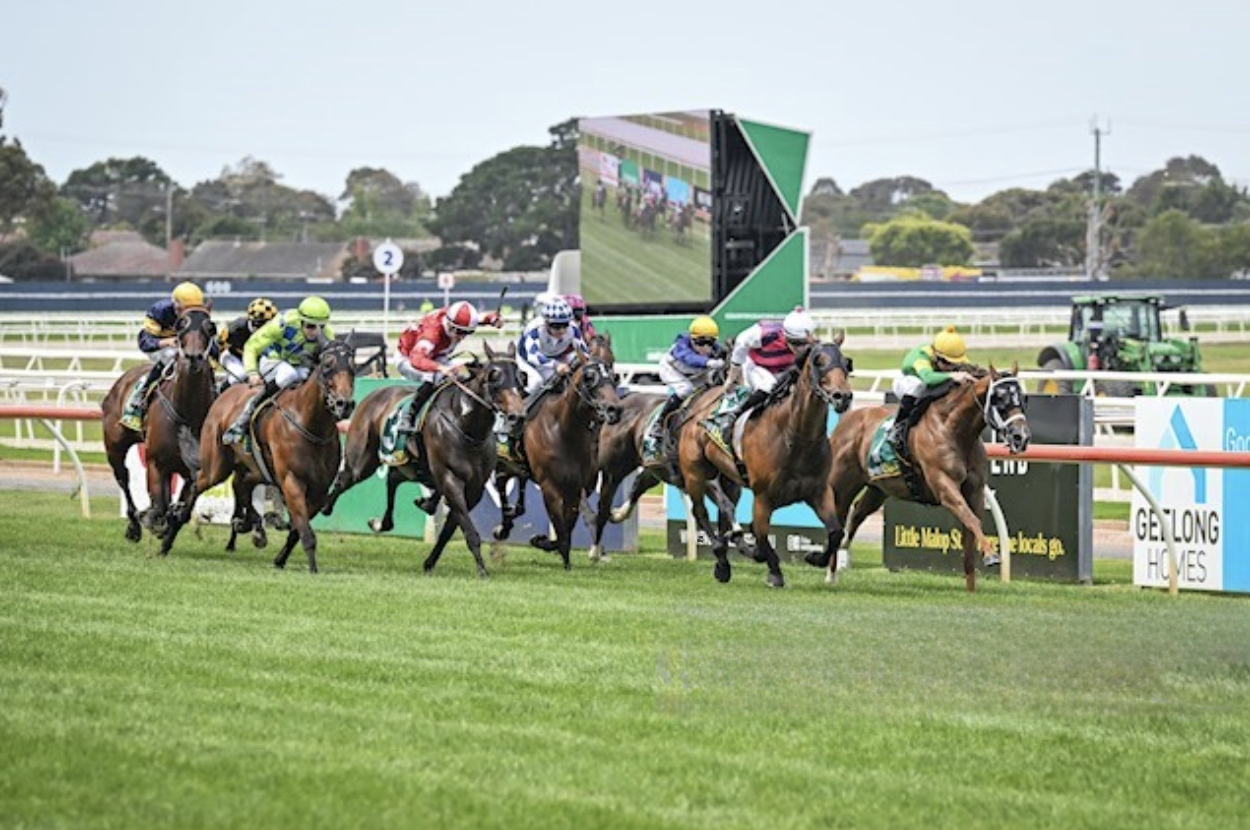 Helluva Barty Racing at Doomben on 28th Oct 2023