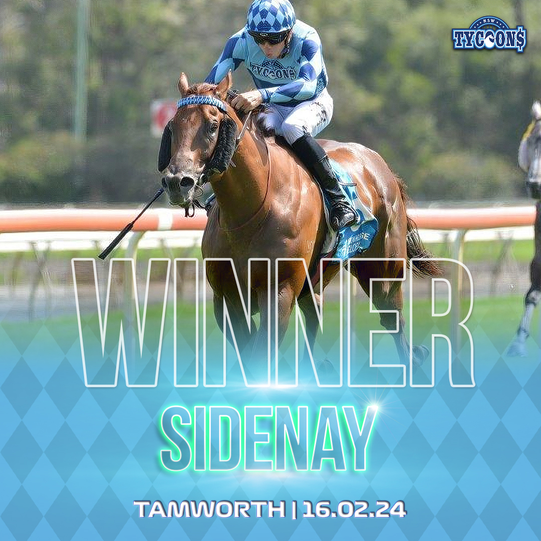 Sidenay Race Winner 16th Feb 2024 Tamworth