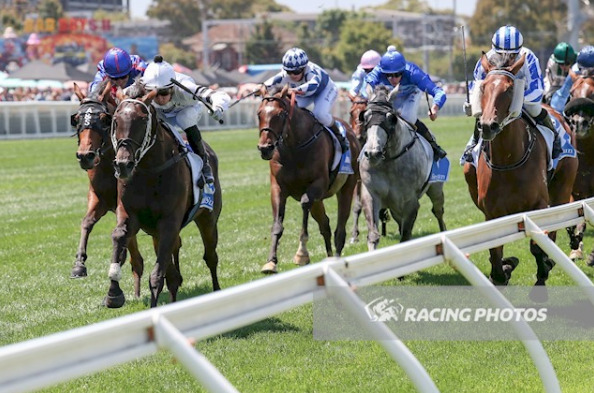 Helluva Barty Racing at Doomben on 28th Oct 2023