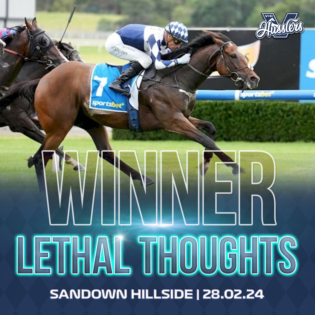 Lethal Thoughts Race Winner Sandown Hillside 28th Feb 2024