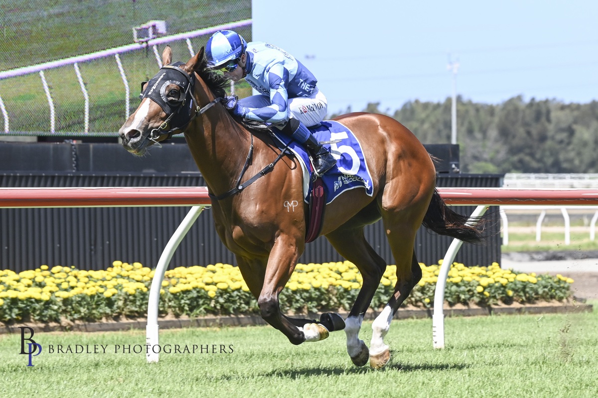 Etched In Time Racehorse at Kembla Grange