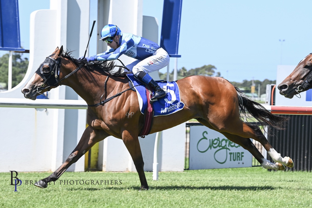 Etched In Time Wins at Wyong on the 1st September 2024