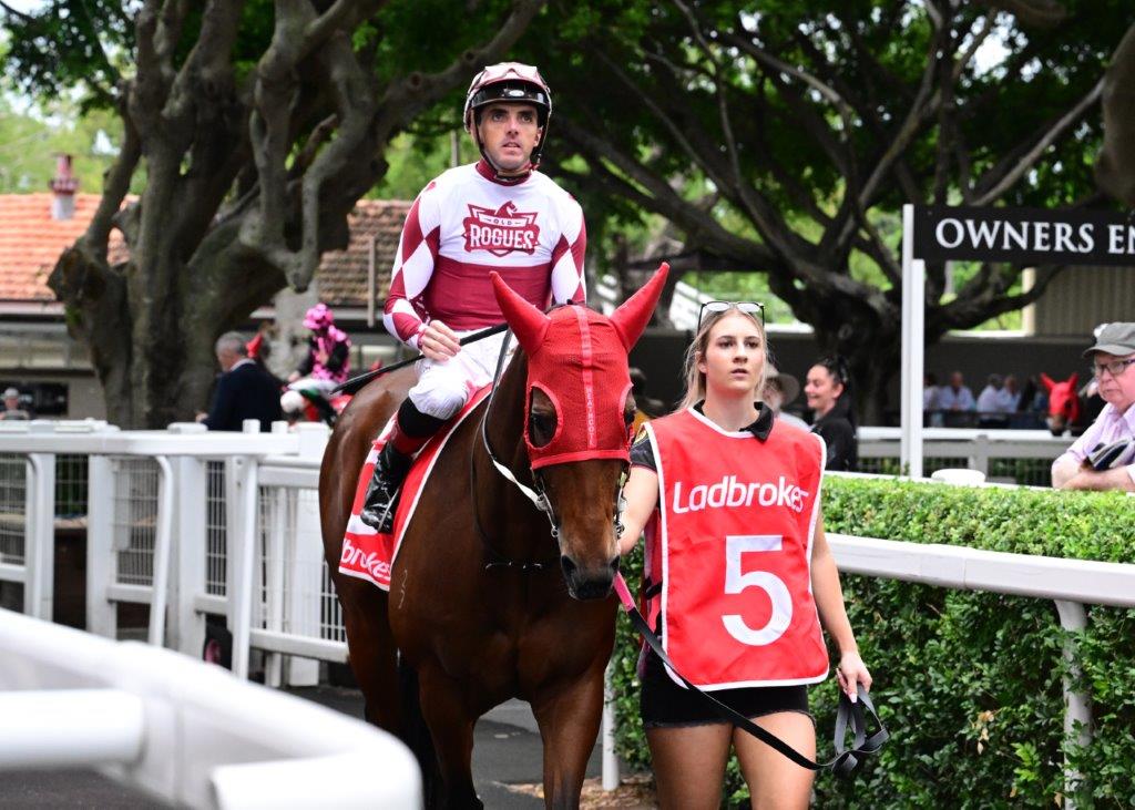 The Big Goodbye and Jockey Martin Harlery