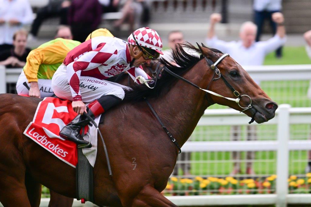 The Big Goodbye was electric at Eagle Farm on Saturday