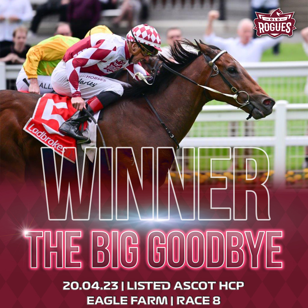 The Big Goodbye Race Win The Listed Ascot Hcp 2024 Eagle Farm 20th April 2024
