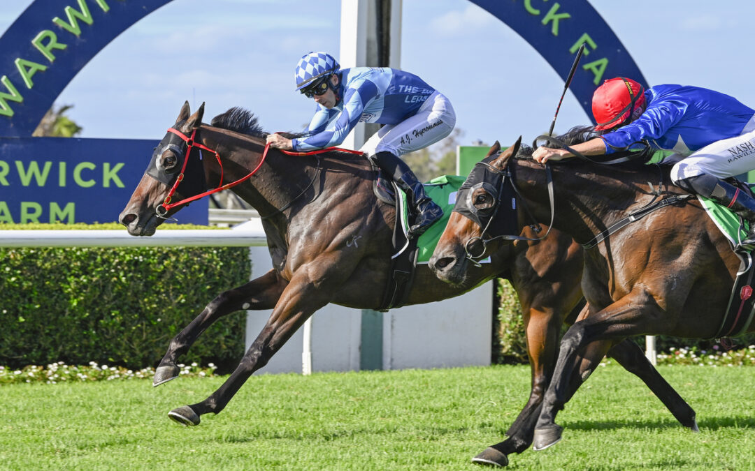 COOL JAKEY – THE KING OF WARWICK FARM
