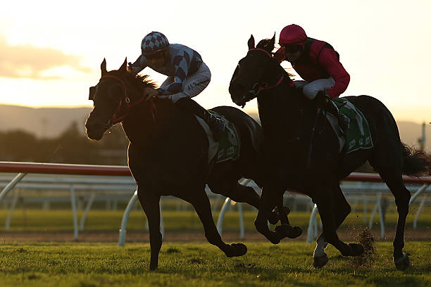 Cool Jakey the king of Warwick Farm with NSW Tycoons