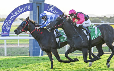 A DAY TO REMEMBER FOR NSW TYCOONS