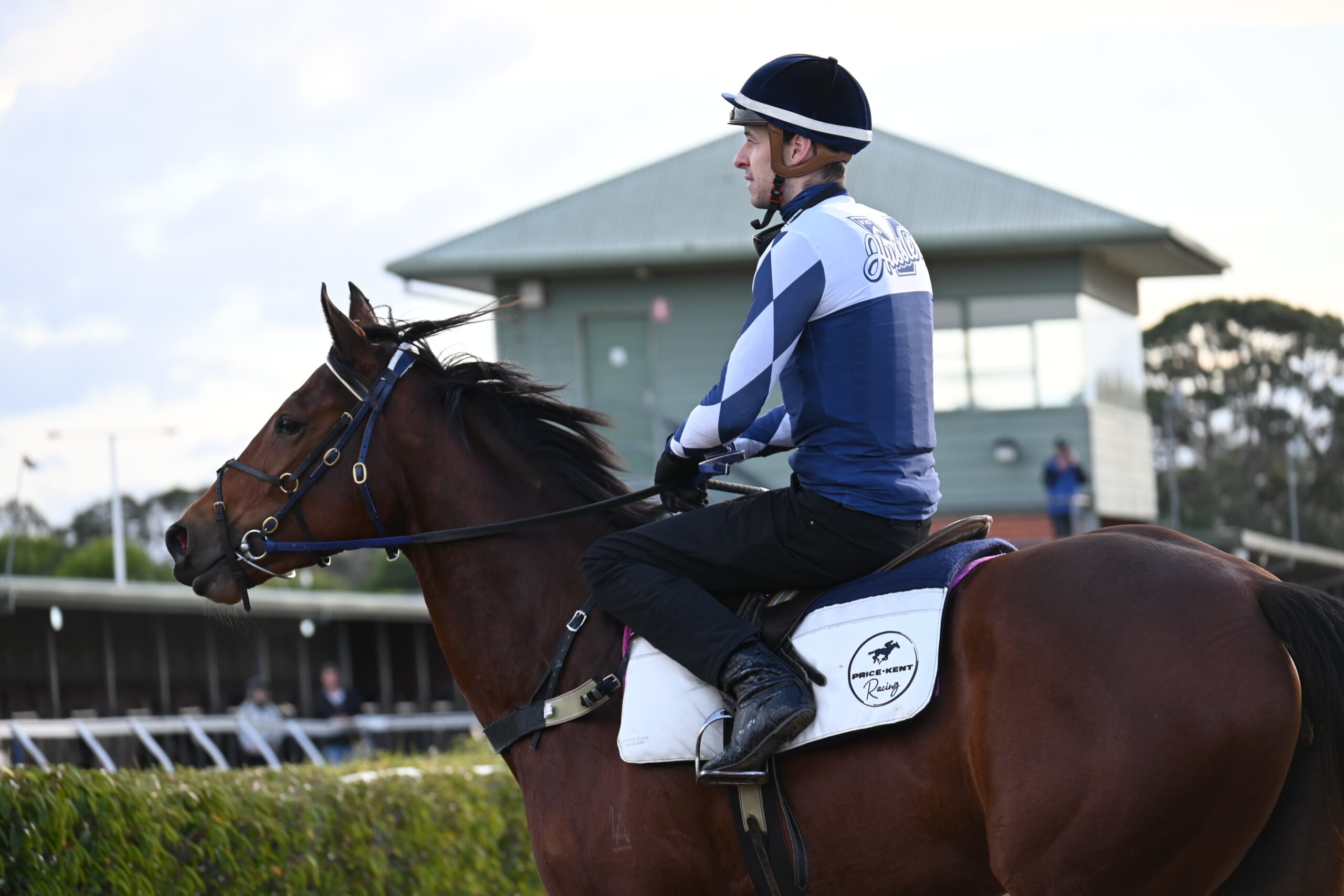 Vic Husslers add Per Incanto filly to their team