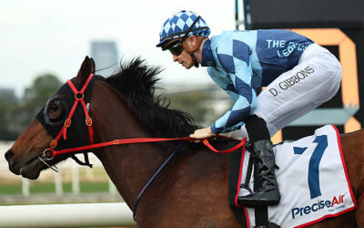 ESTADIO MESTALLA BOUNCES BACK IN WINTER STAKES