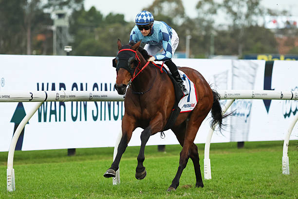 Cool Jakey the king of Warwick Farm with NSW Tycoons