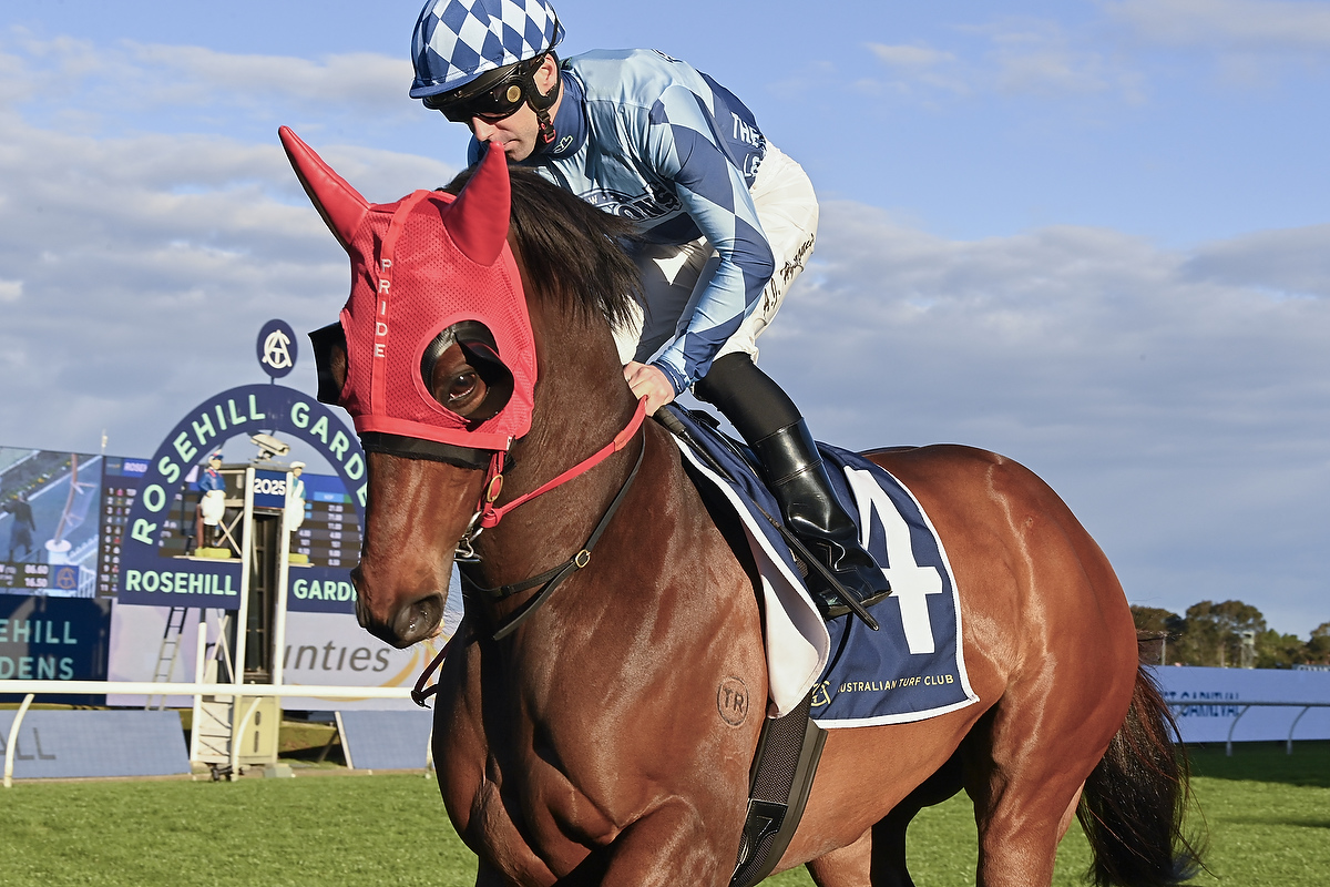 ESTADIO MESTALLA_9_RH_30082025__E235 COOL JAKEY THE KING OF WARWICK FARM 050325