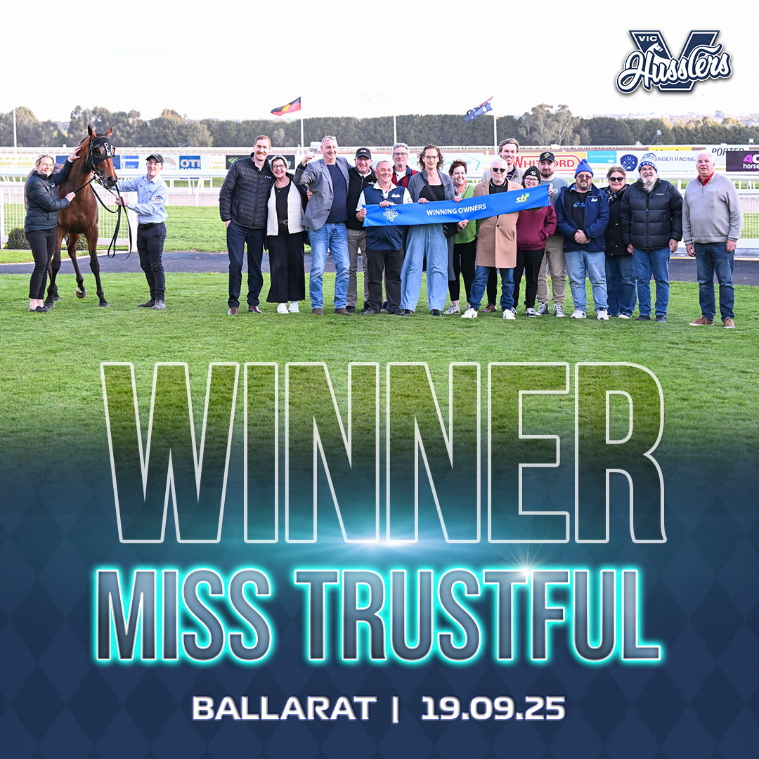 VIC HORSE WINNER BELLINGER 071224