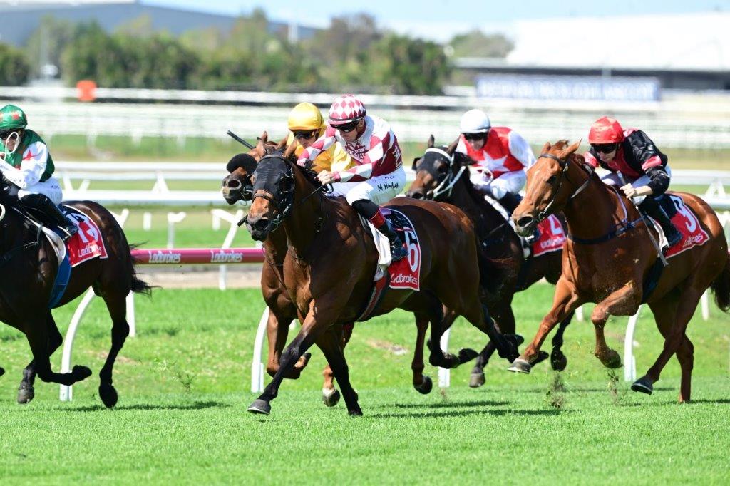 Cool Jakey the king of Warwick Farm with NSW Tycoons