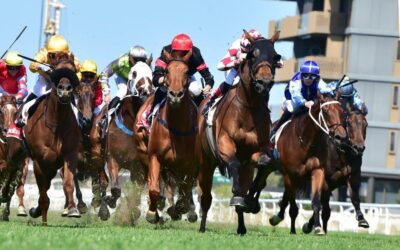 HEMAN MUSCLES UP – MASTER OF HIS OWN UNIVERSE