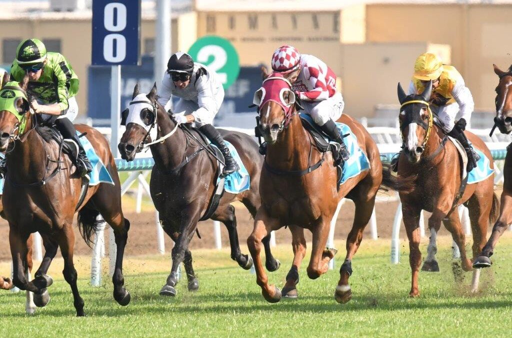 QLD ROGUES TWO WINS IN SEVEN DAYS