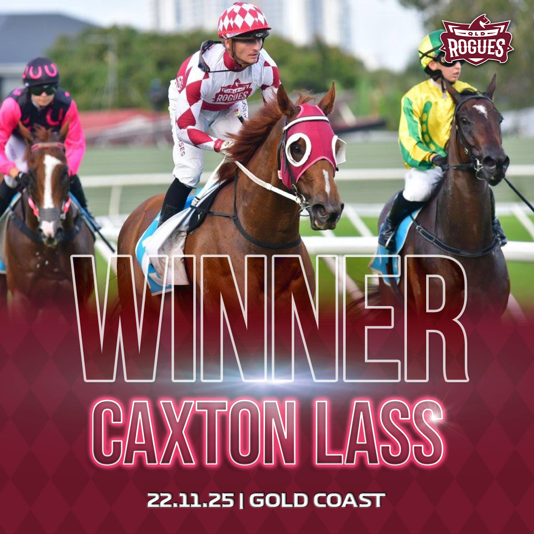 VIC HORSE WINNER BELLINGER 071224