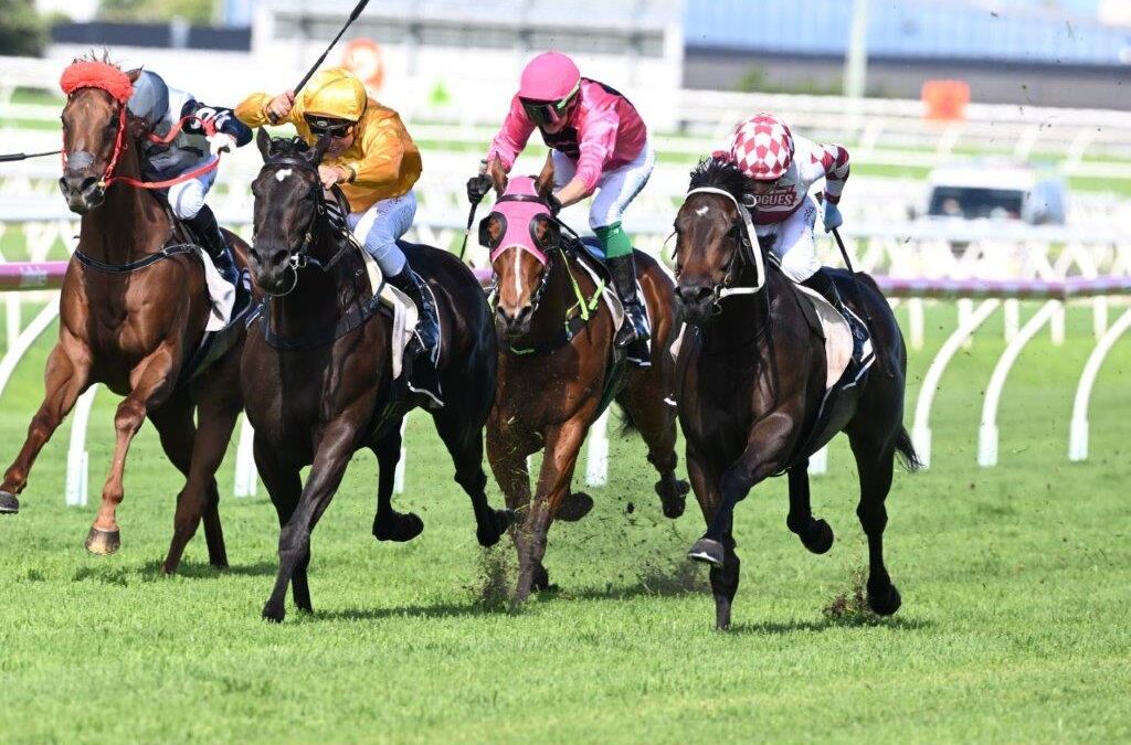 SAN GABRIEL THE ROGUES NEXT STAR