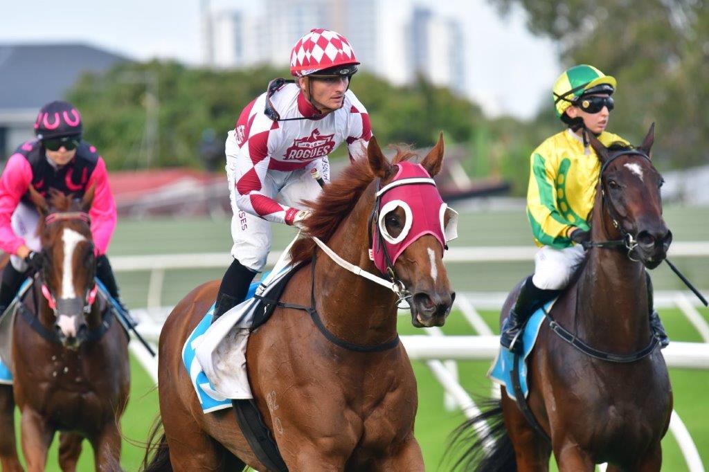 DSC_7424 Cool Jakey the king of Warwick Farm with NSW Tycoons