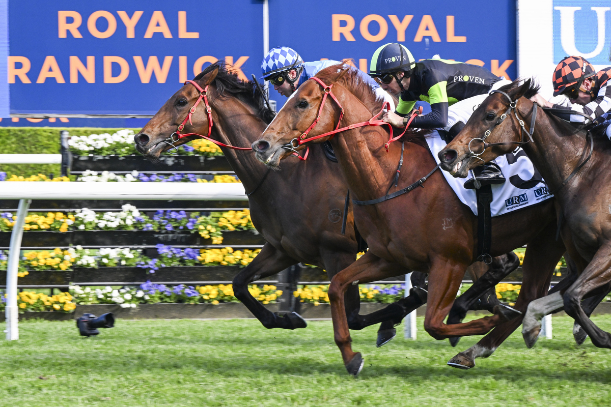 DSC_5727ESTADIO MESTALLA,Z_8_RW_04112025__B042 COOL JAKEY THE KING OF WARWICK FARM 050325