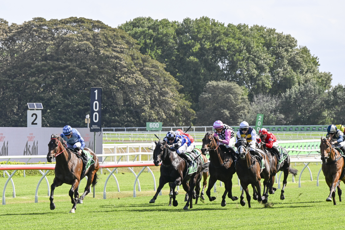 DSC_9598 Cool Jakey trainer Joe Pride, Brave Pride, Jockey Adam Hyeronimus and TK