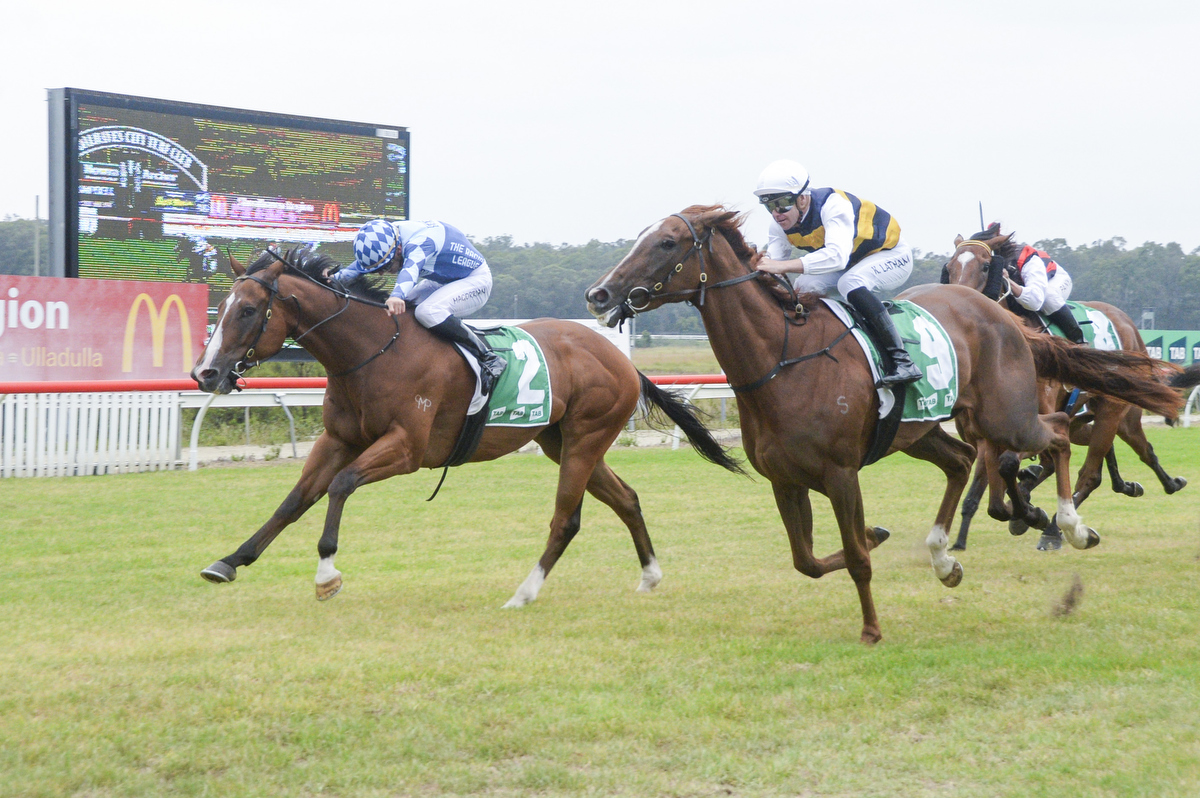 COOL JAKEY THE KING OF WARWICK FARM 050325