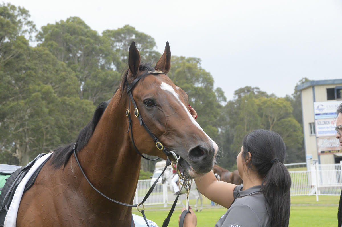 Cool Jakey trainer Joe Pride, Brave Pride, Jockey Adam Hyeronimus and TK
